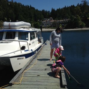 Doing what we do best, fishing for jellyfish at Poet's cove