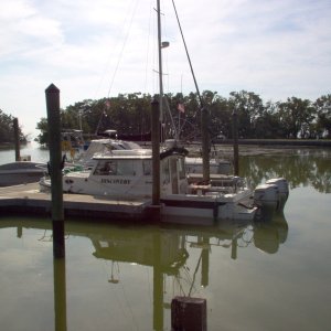 Flamingo, Fl 2007