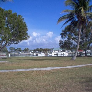 Flamingo, Fl