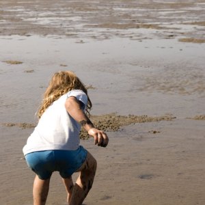 Media 'Clam digging, Mag Bay style -- more like clam picking-upping.' in album 'The Baja Highway in November, 2007. The road to Magdalena Bay and beyond.  ! Abre sus ojos !'