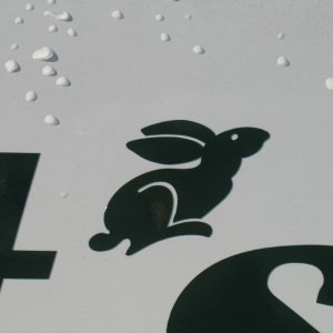 (Rabbits Hutch) Artistic Flair