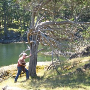Carolyn with cool tree Squitty Bay