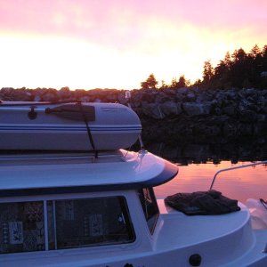 Media 'Beach Gardens' in album 'Squitty Bay.  South end Lasqueti'