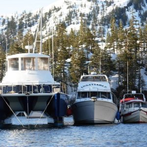 Media '' in album 'Prince William Sound, AK - May 16-18, 2008'