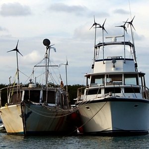 Please take note: 7 wind generators and blacked out windows....wonder what is going on with these boats. Anyone want to take a wild guess?