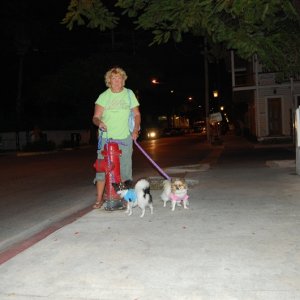 Judy, Dabber & Daisy teaching Dabber what a Fire Plug is all about.