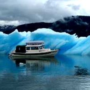 Halcyon cruising in Alaska