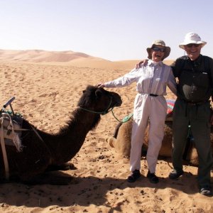 Our Ships of the Desert