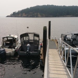 Henry island