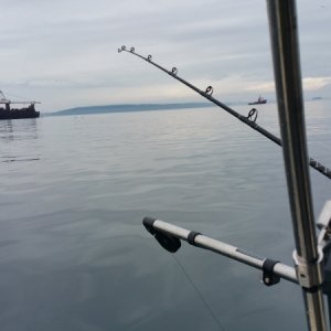 Scotty downrigger