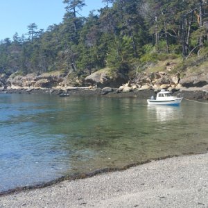 Media '' in album 'Using an anchor buddy off Posey island'