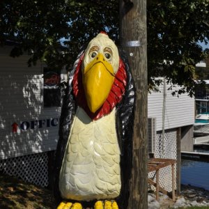 Media 'The Ubiquitous Bird' in album 'Parking for truck/trailer'