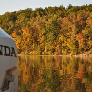 Media 'Eddy Creek Anchorage Lake Barkley' in album 'Parking for truck/trailer'