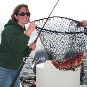 Melinda caught the first fish at Santa Barbara Island, too bad it was a female sheephead, had to go back.