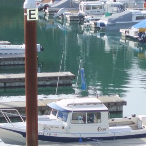 Media 'Roadtrip to Brookings finds C-Dory population' in album 'Wanda Fuca -- another neighbor at Newport...later saw Dusty Rose pull in right beside.'
