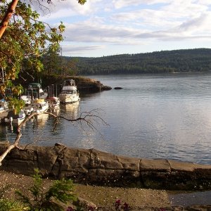 Conover Cove
