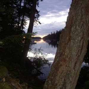 Princess Cove
