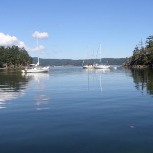 Conover Cove