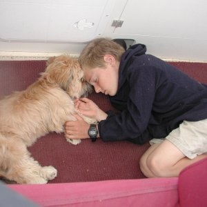 Bryce and Oscar Snoozin' On Daydream