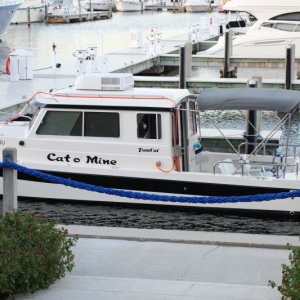 Media 'Longboat Key Resort Moorings Marina' in album 'Longboat Key Resort Moorings Marina'