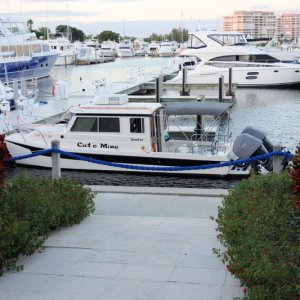 Media 'Longboat Key Resort Moorings Marina' in album 'Longboat Key Resort Moorings Marina'