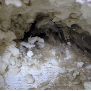 Media 'Water Soaked Foam' in album 'Aft Inspection Ports Between Tanks'