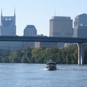 Gypsy and the Nashville skyline.