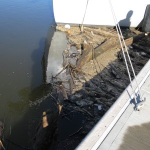 One night's collected debris at Clarksville dock.