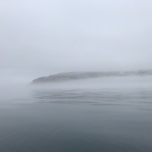 D1-1 Slowed by Fog - Sucia