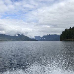 D2-6 Jervis Inlet
