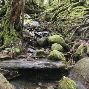 D3-18 Trail to Trappers Cabin