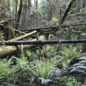 8 - Melanie Cove Hike