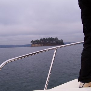 Cutts Island