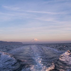 Mt. Rainier