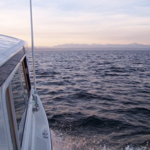 Media 'Olympia's snowed' in album '(C-Time) Dory Fishing'