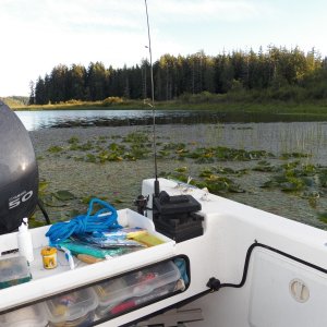 I had enough rode out to drift into the lily pads.  Not a problem.  In fact the fishing was better and I made ceviche for dinner.