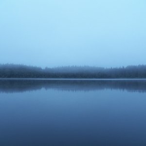 Morning brought fog off of the ocean, only two miles away.