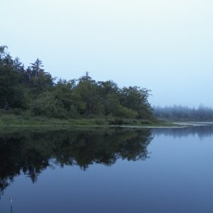 Nice and calm.