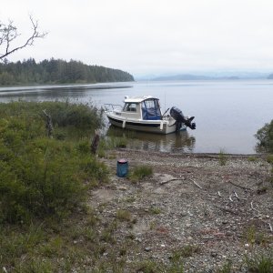 At the head of Allen Bay is Allen Slough.  I poled in to this bare spot and threw out my bear can containing all of my food.  The Ranger said it keeps critters from going aboard while I'm gone.