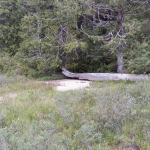Most of the beaches had a camp area with a stone fire ring.