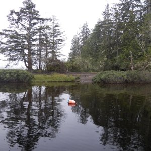 Media 'This could be a mooring buoy in front of this camp area or a marker for a submerged rock.  Probably the latter.' in album 'This is the launch by the Ozette Ranger Station.  I had heard that it was shallow and didn't have a dock, but that has changed.'