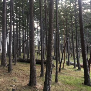 Hiking across the island