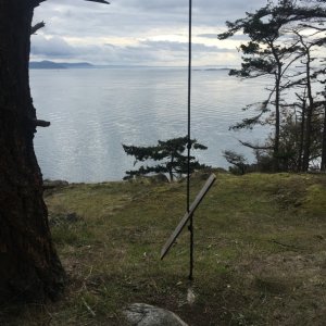 Media 'Found another rope swing' in album 'Another early morning start, October 13, 2019'