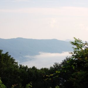 Great Smokey Mountains