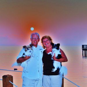 The Papillon Crew