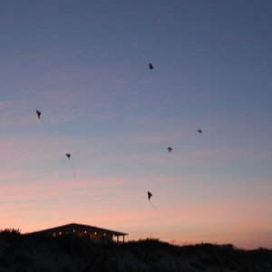 Go Fly a Kite