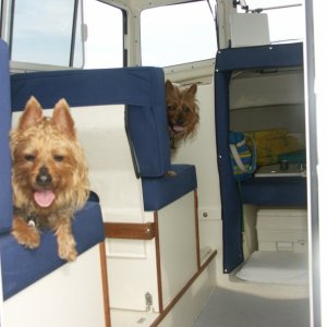 Media 'Syd & Torie enjoying a day on the water' in album 'Day-Dreamer at Chebeague Island'