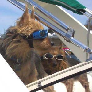Media 'Syd & Torie looking cool' in album 'Day-Dreamer at Chebeague Island'