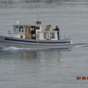 A broad side view