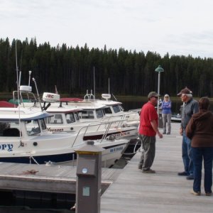 Media 'C-Dory Gathering' in album 'mule deer by Bridge Bay Marina during C-Dory Gathering'